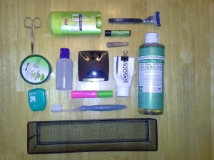 grooming scissors, deodorant, razor, hair paste, oil, face powder, lip balm and nail clippers, soap/shampoo, mascara, floss/toothpaste/toothbrush, basket to hold stuff in the cabinet